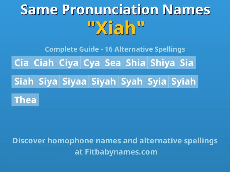 Infographic: Xiah same pronunciation names, similar names, and homophone names