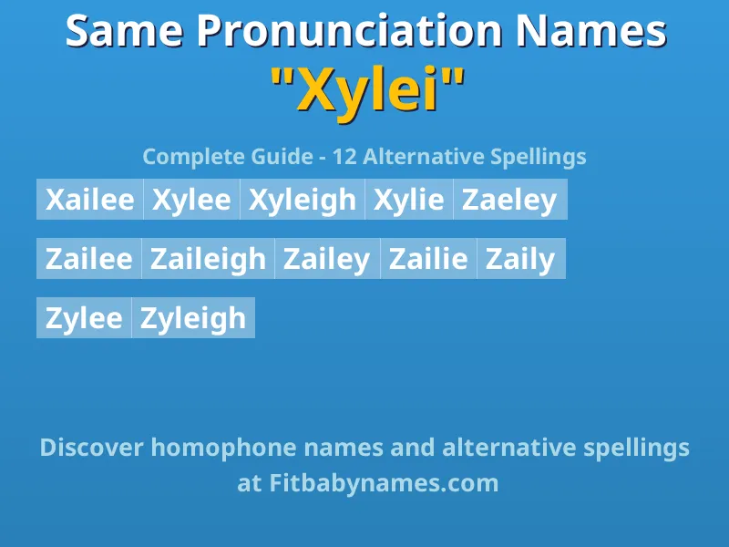 Infographic: Xylei same pronunciation names, similar names, and homophone names