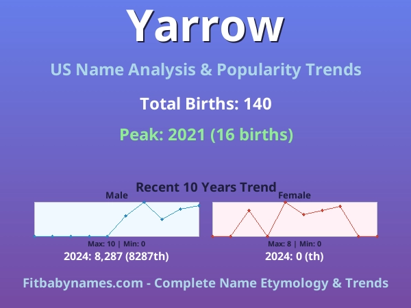 Infographic: Yarrow name meaning, origin, and popularity trends in the United States (US baby name analysis chart)