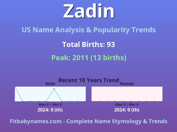 Infographic: Zadin name meaning, origin, and popularity trends in the United States (US baby name analysis chart)