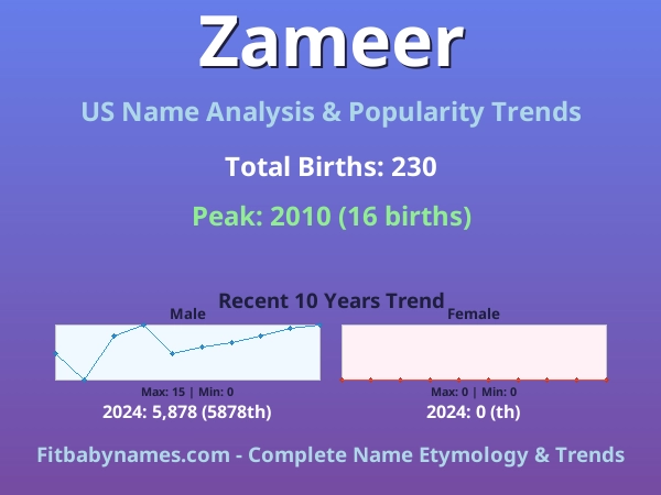 Infographic: Zameer name meaning, origin, and popularity trends in the United States (US baby name analysis chart)