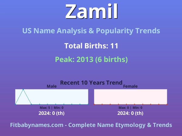 Infographic: Zamil name meaning, origin, and popularity trends in the United States (US baby name analysis chart)