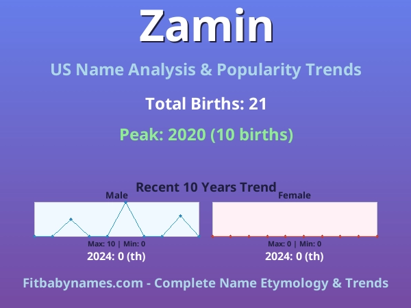 Infographic: Zamin name meaning, origin, and popularity trends in the United States (US baby name analysis chart)