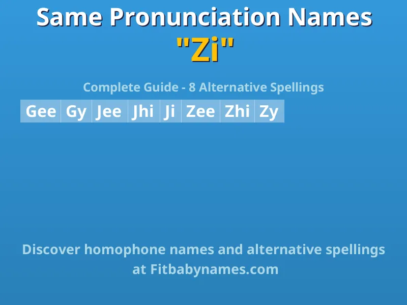 Infographic: Zi same pronunciation names, similar names, and homophone names