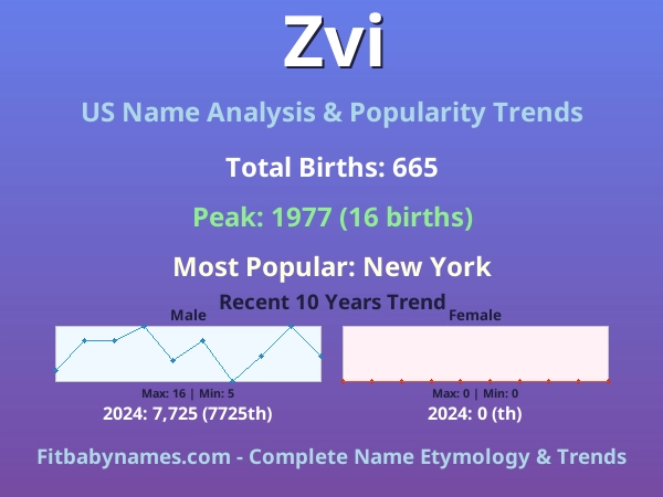 Infographic: Zvi name meaning, origin, and popularity trends in the United States (US baby name analysis chart)